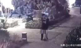 淄博吃瓜爆料事件视频曝光,视频曝光事件真相揭秘