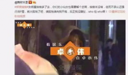 啪啪啪免费观看视频,揭秘“啪啪啪”免费观看视频的奥秘